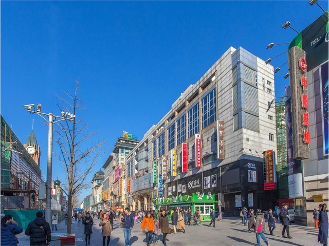 红河昆明珍岛代理公司